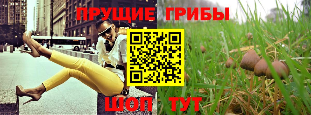 что такое   Псилоцибиновые грибы MAGIC MUSHROOMS  Вход с VPN  Самара 